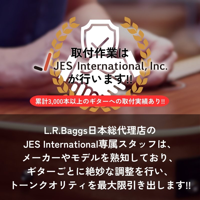 画像2: L.R.Baggs / ピックアップ配送取付サービス   (2)