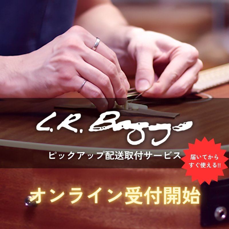 画像1: L.R.Baggs / ピックアップ配送取付サービス   (1)