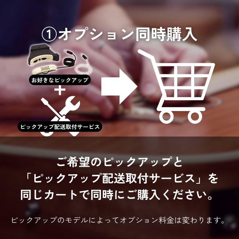 画像3: L.R.Baggs / ピックアップ配送取付サービス   (3)