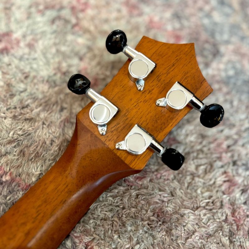 画像6:  【OUTLET】  KUMU ukulele / Tuxedo Concert (#22073866)   (6)