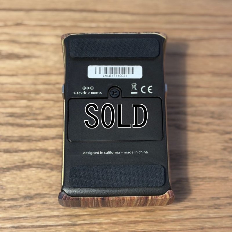 画像7:  【USED】  L.R.Baggs / Align Session   (7)