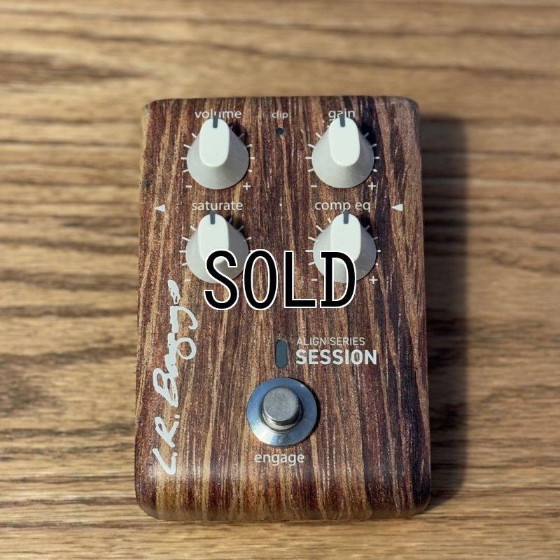 画像2:  【USED】  L.R.Baggs / Align Session   (2)