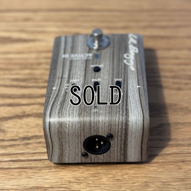 画像5:  【USED】  L.R.Baggs / Align Active DI   (5)