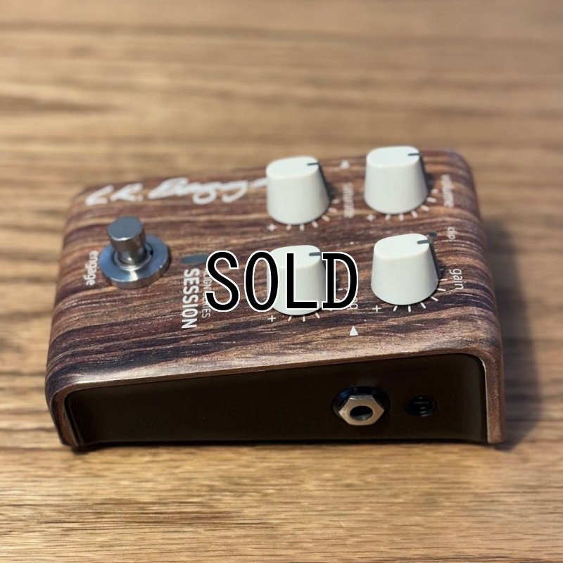 画像4:  【USED】  L.R.Baggs / Align Session   (4)