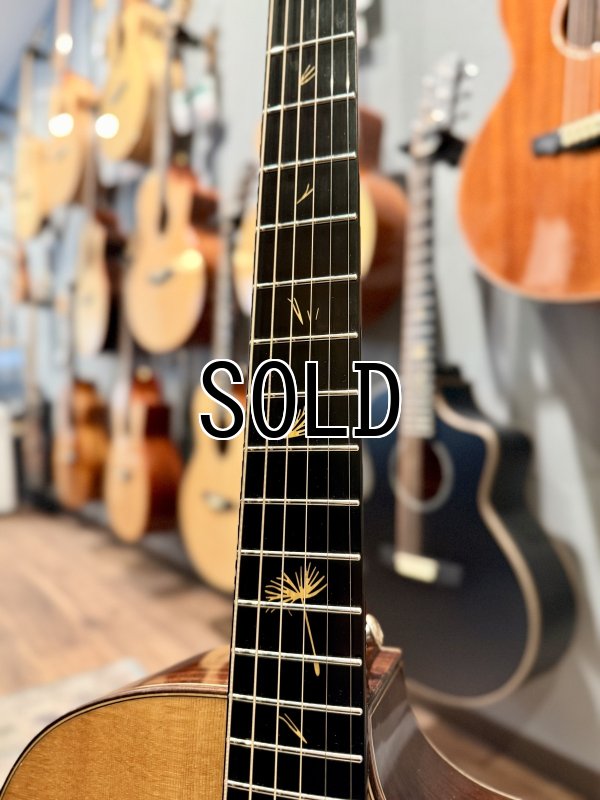 画像5: 【USED】Natasha / JC-2 ピックアップ搭載済み！ (5)