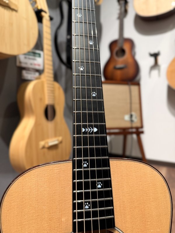 画像4: 【USED】Natasha / Cat Mini ピックアップ搭載済み！ (4)