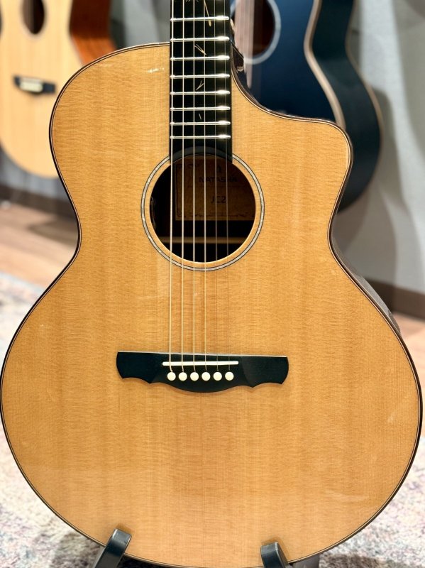 画像2: 【USED】Natasha / JC-2 ピックアップ搭載済み！ (2)