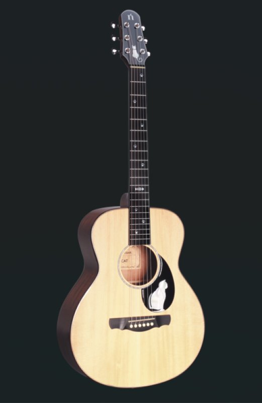 画像8: 【USED】Natasha / Cat Mini ピックアップ搭載済み！ (8)