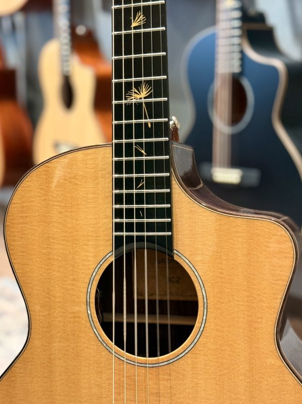 画像4: 【USED】Natasha / JC-2 ピックアップ搭載済み！ (4)