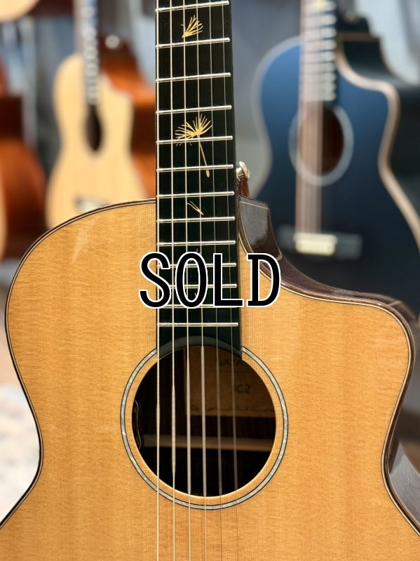 画像4: 【USED】Natasha / JC-2 ピックアップ搭載済み！ (4)