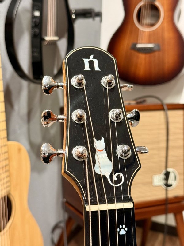 画像5: 【USED】Natasha / Cat Mini ピックアップ搭載済み！ (5)