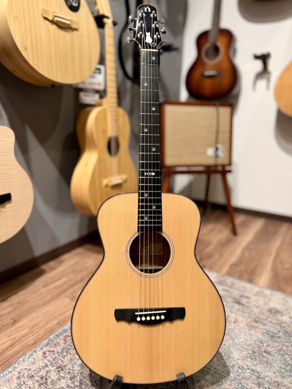 画像1: 【USED】Natasha / Cat Mini ピックアップ搭載済み！ (1)