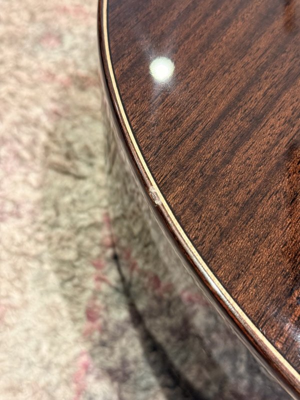 画像9: 【USED】Natasha / JC-2 ピックアップ搭載済み！ (9)