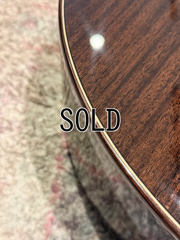 画像9: 【USED】Natasha / JC-2 ピックアップ搭載済み！ (9)