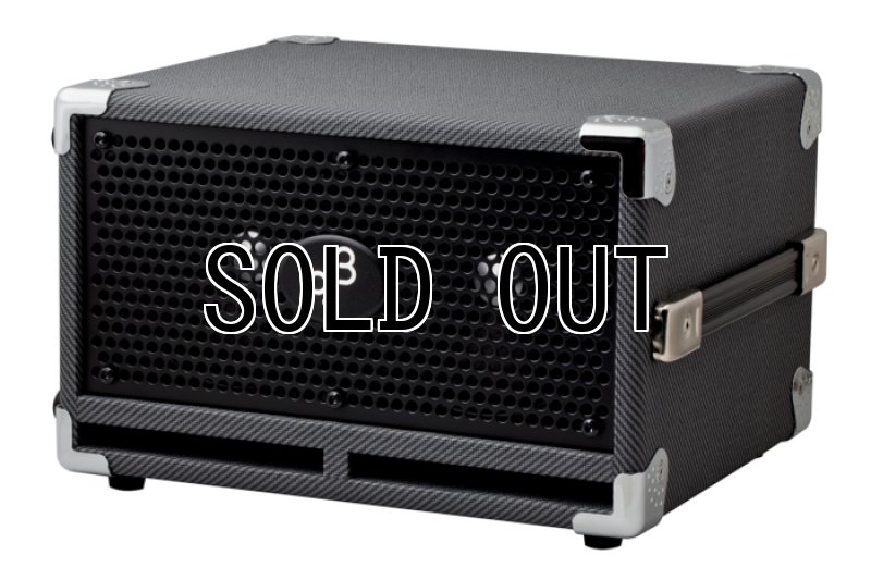 画像1: 限定生産  PJB / BassCabinet C2,Black Tweed   (1)