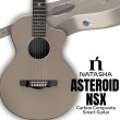 画像1: Natasha / ASTEROID NSX ラテ  (1)
