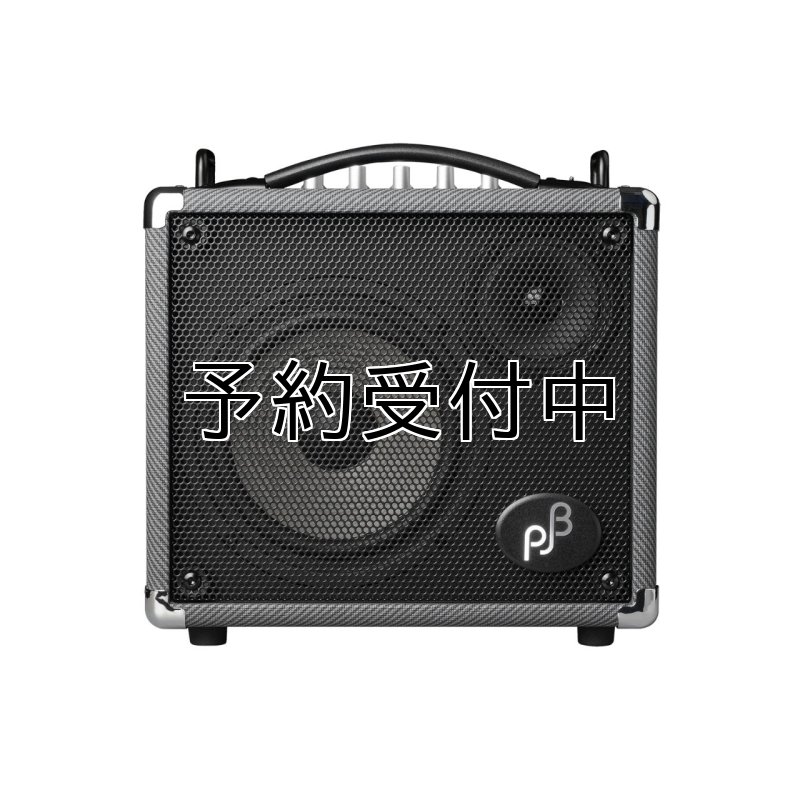 画像2: 限定生産 PJB / Bass Engine 17, Black Tweed   (2)