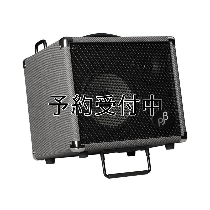 画像1: 限定生産 PJB / Bass Engine 17, Black Tweed   (1)