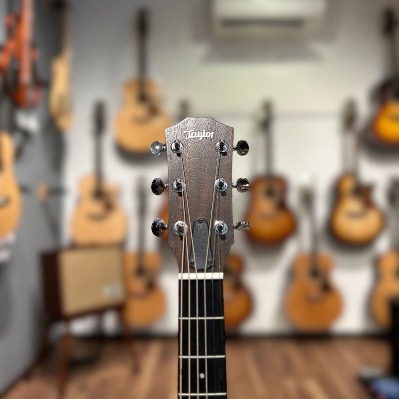 画像3:  【USED】  【一点物】  Taylor / 24CE    (3)