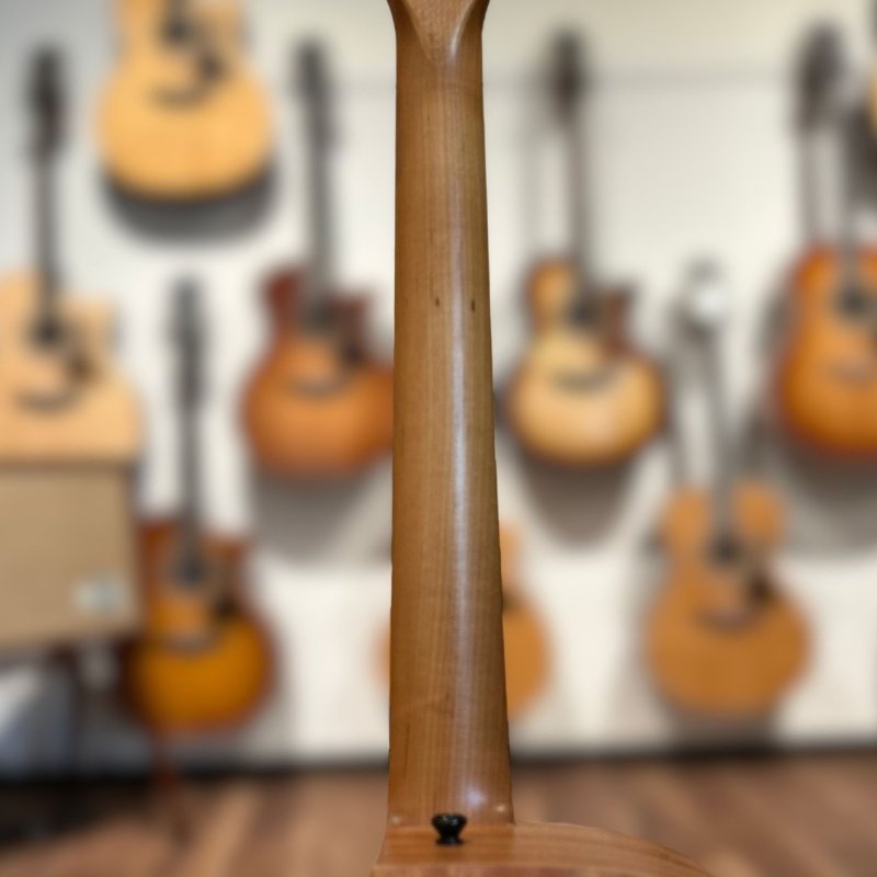 画像6:  【USED】  【一点物】  Taylor / 24CE    (6)