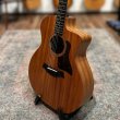 画像7:  【USED】  【一点物】  Taylor / 24CE    (7)