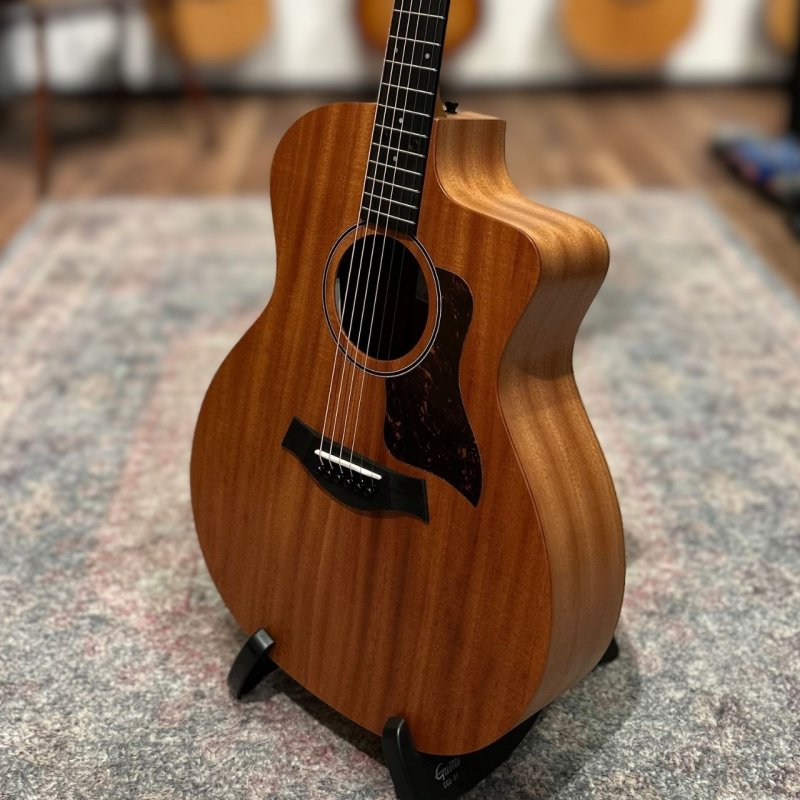画像7:  【USED】  【一点物】  Taylor / 24CE    (7)