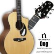 画像1:  【柴犬モデル】 Natasha / DOG   (1)