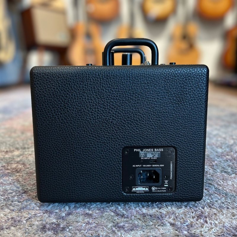 画像3:  【OUTLET】  【一点物】   PJB / nanobass X4C, Black  (3)