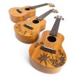 画像7: Liko ukulele / Plain LKC-26P   (7)