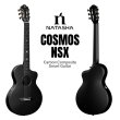画像1: Natasha / Cosmos NSX Black   (1)