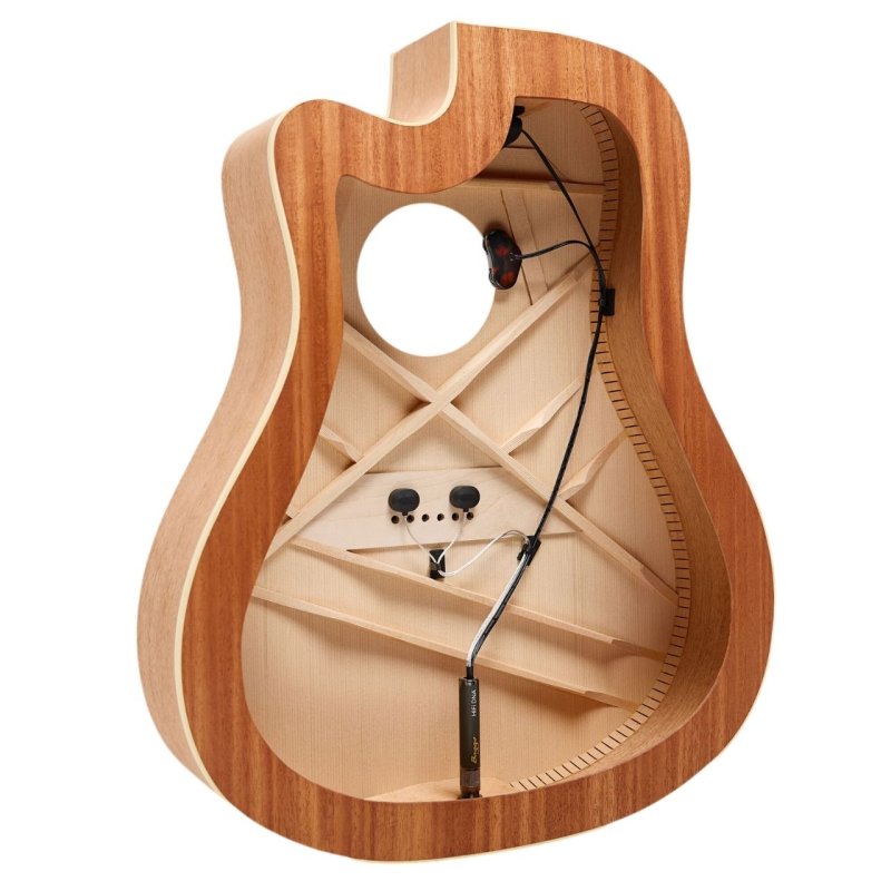 画像5: L.R.Baggs / HiFi DNA   (5)