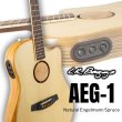 画像1: L.R.Baggs / AEG-1, Natural Engelmann Spruce   (1)