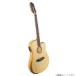 画像2: L.R.Baggs / AEG-1, Natural Engelmann Spruce   (2)
