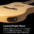 画像7: L.R.Baggs / AEG-1, Natural Engelmann Spruce   (7)