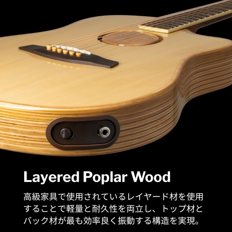 画像7: L.R.Baggs / AEG-1, Natural Engelmann Spruce   (7)