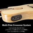 画像9: L.R.Baggs / AEG-1, Natural Engelmann Spruce   (9)