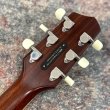 画像6: L.R.Baggs / AEG-1, Natural Engelmann Spruce #24-0485  【店頭展示中】 (6)