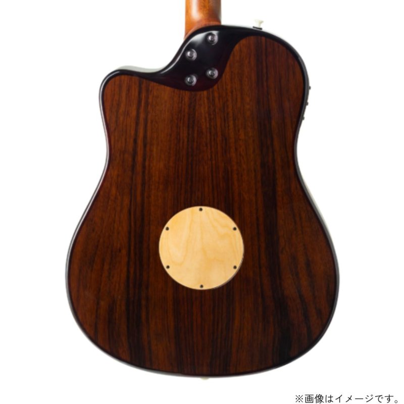 画像4: L.R.Baggs / AEG-1, Sunburst Sitka Spruce   (4)