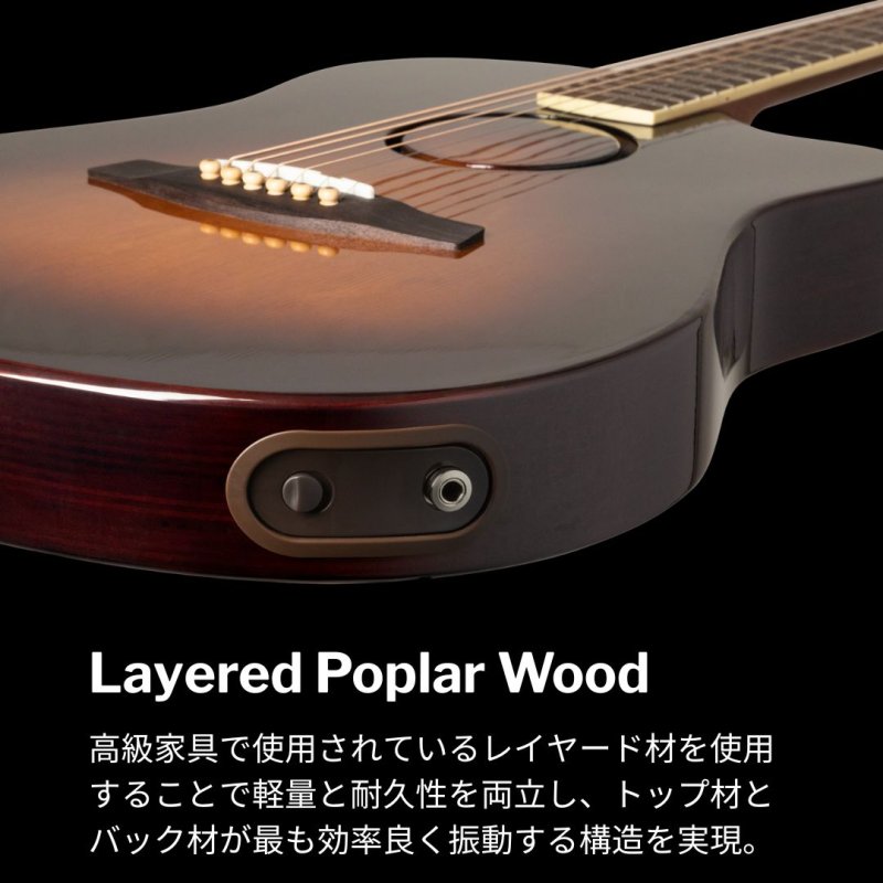 画像7: L.R.Baggs / AEG-1, Sunburst Sitka Spruce   (7)