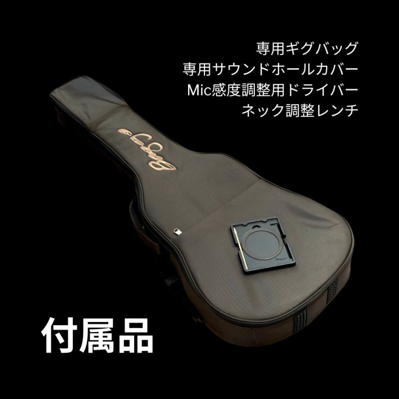 画像10: L.R.Baggs / AEG-1, Sunburst Sitka Spruce   (10)