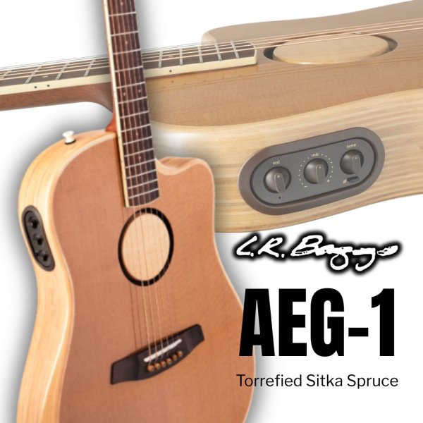 画像1: L.R.Baggs / AEG-1, Torrefied Sitka Spruce   (1)