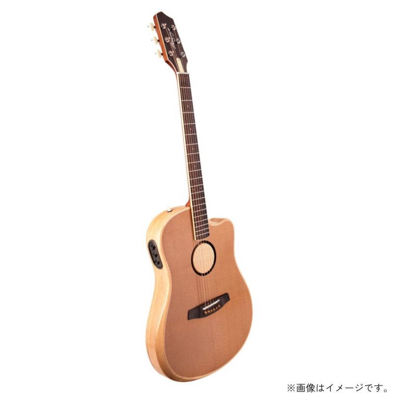 画像2: L.R.Baggs / AEG-1, Torrefied Sitka Spruce   (2)