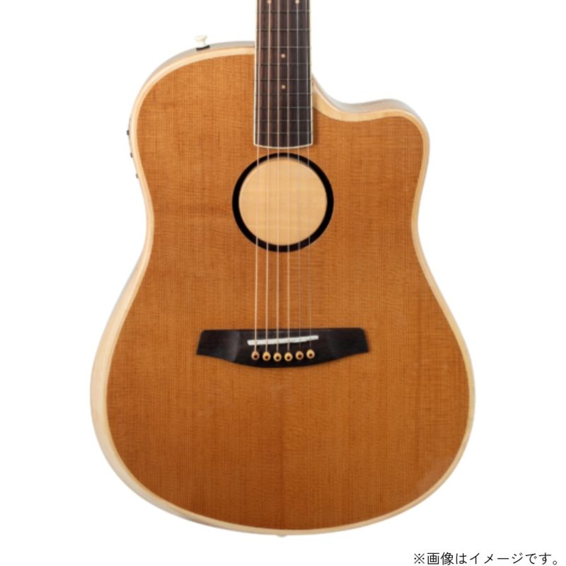 画像3: L.R.Baggs / AEG-1, Torrefied Sitka Spruce   (3)