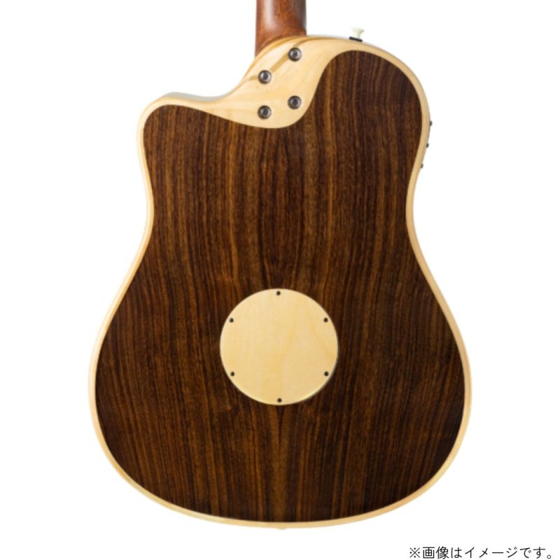 画像4: L.R.Baggs / AEG-1, Torrefied Sitka Spruce   (4)