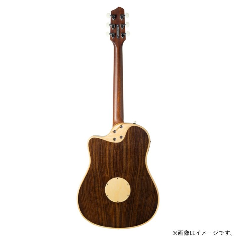 画像5: L.R.Baggs / AEG-1, Torrefied Sitka Spruce   (5)