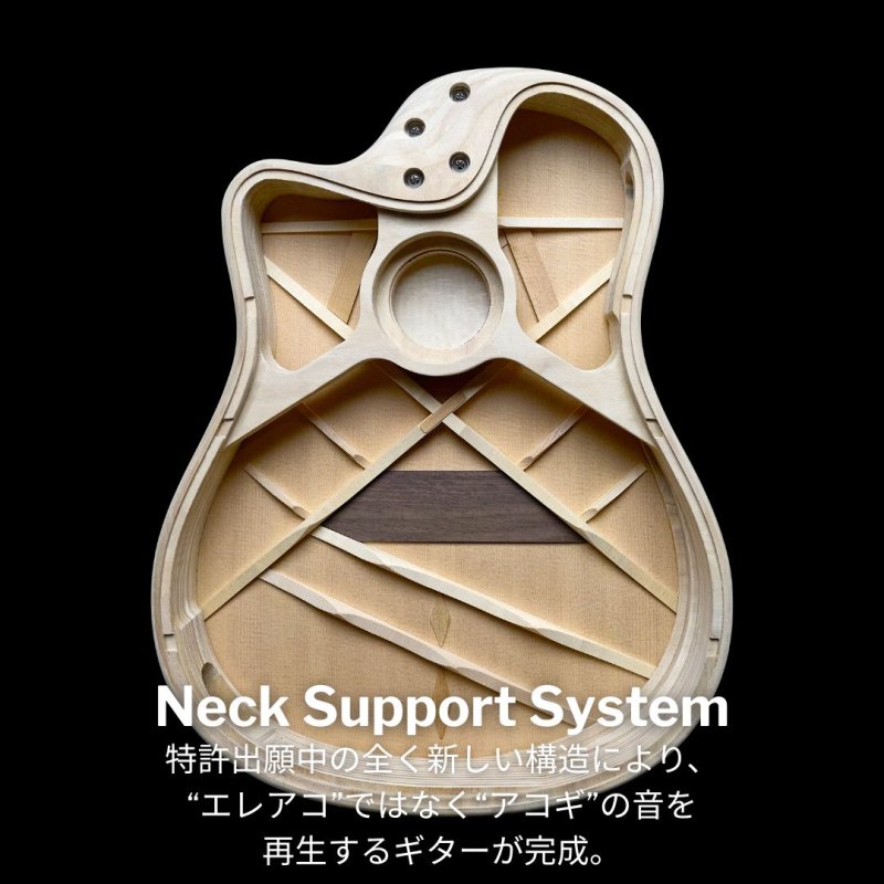 画像6: L.R.Baggs / AEG-1, Torrefied Sitka Spruce   (6)