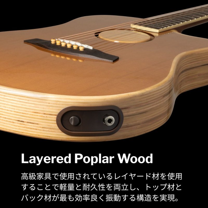 画像7: L.R.Baggs / AEG-1, Torrefied Sitka Spruce   (7)