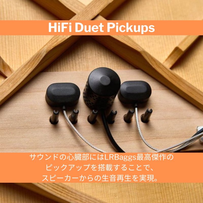 画像8: L.R.Baggs / AEG-1, Torrefied Sitka Spruce   (8)