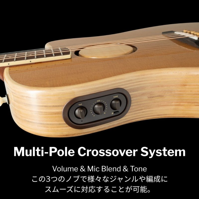 画像9: L.R.Baggs / AEG-1, Torrefied Sitka Spruce   (9)