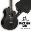 画像1: Natasha / Black Hole Mini  【未展示在庫】 (1)